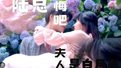 Found Too Late - 陆总忏悔吧，夫人才是你的白月光